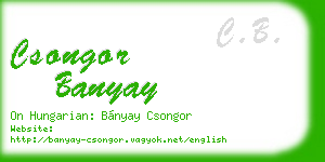 csongor banyay business card
