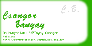 csongor banyay business card
